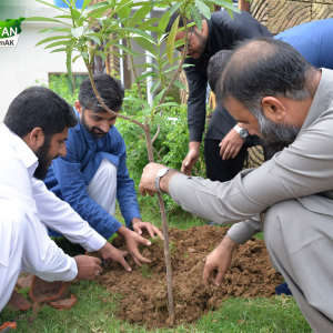 Green Pakistan by teamAK (12)